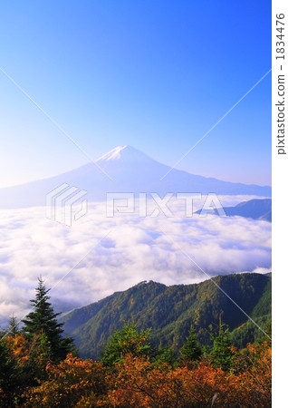 雲海 山 風景 1834476