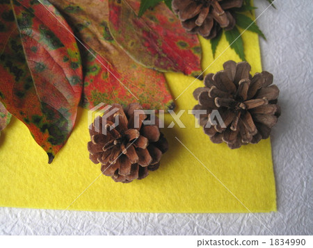 Persimmon leaves and pine cones ☆ Persimmon leaves and pine cones ☆ 1834990