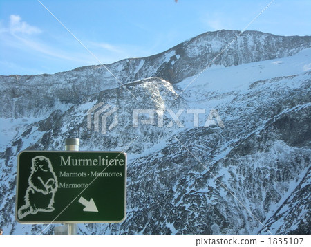 有動物。 1835107