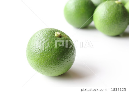 在大分縣生產 在大分縣生產 1835125