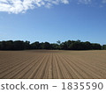 field, oceania, australia 1835590