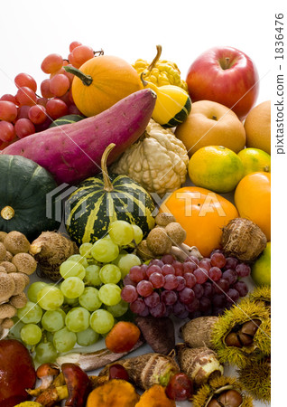 the taste of autumn, autumn ingredients, shimeji mushroom 1836476