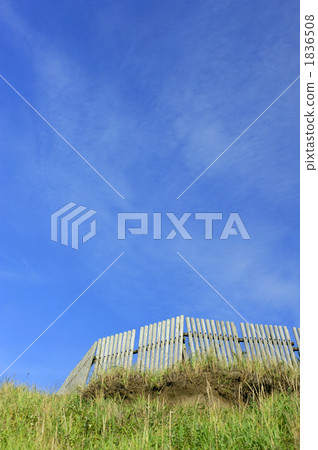 仰望海岸的天空 1836508