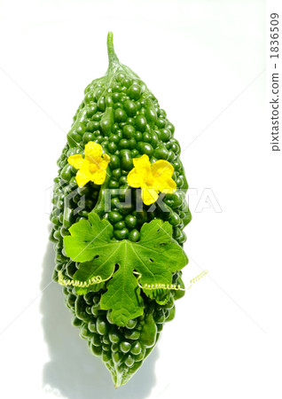 我試著用gruya水果，花朵，葉子，藤蔓製作一張臉 1836509