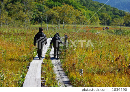 我拍了一張在Ozegahara的秋天雲層中走來走去的照片。 1836590