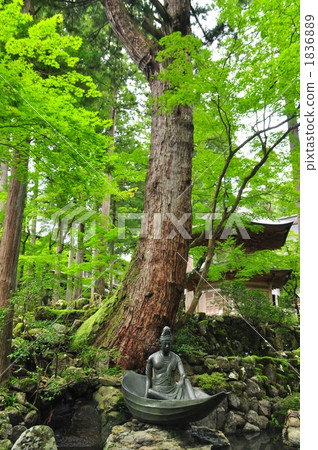 Eiheiji Temple 1836889