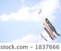 鯉魚旗 1837666