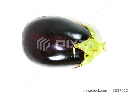 aubergine, eggplant, american eggplant 1837912