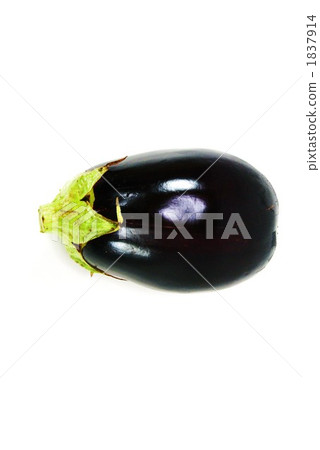 美國茄子 茄子 蛋茄 1837914