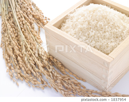 品種和米飯 品種和米飯 1837954
