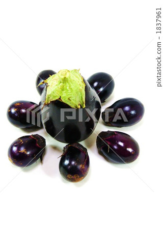 aubergine, eggplant, fruit 1837961
