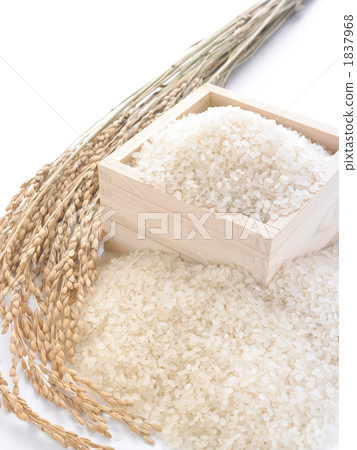 Breed and rice 1837968