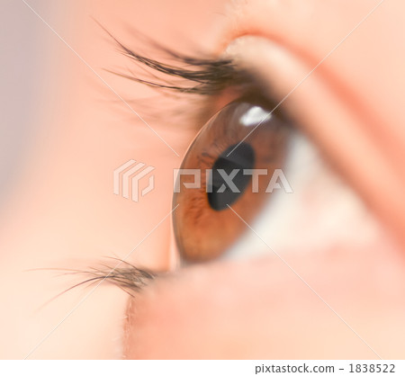 目光 眼球 眼睛 1838522