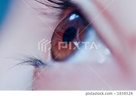 Close-up photo of brown eyes Close-up photo of brown eyes 1838526