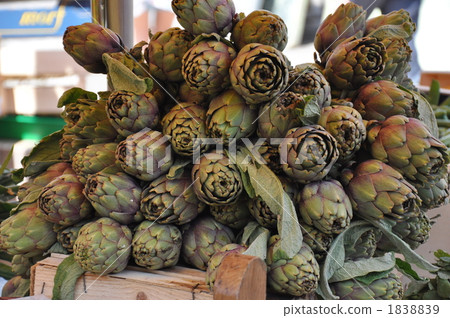 artichoke artichoke 1838839