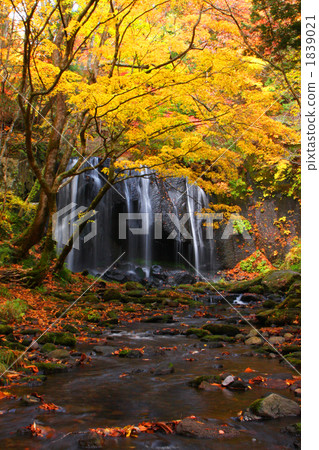 Tatsuzawa Fudo Fall (Autumn) 1839021