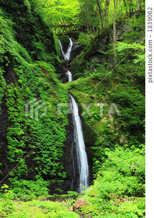 天花板瀑布 1839062