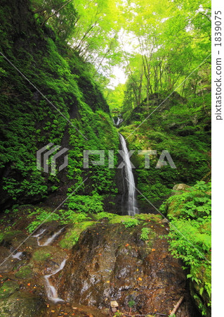 Ceiling Falls Ceiling Falls 1839075