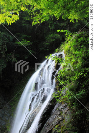 Tachikawa Taki Fall of Nara 1839098