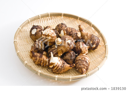 芋頭 芋 芋頭芽 1839130