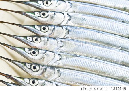 鶴嘴魚 魚 變得完整 1839149