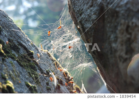 狹窄的空間 1839454