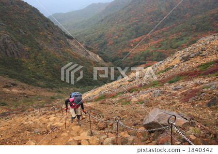 A woman climbing a galley A woman climbing a galley 1840342