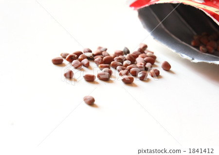 Sogoin Daikon radish seeds Sogoin Daikon radish seeds 1841412