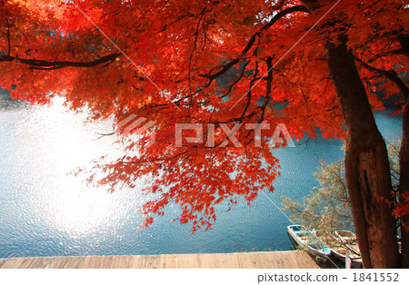 Fall of Goshikinuma (Momiji and Bishamon swamp) 1841552