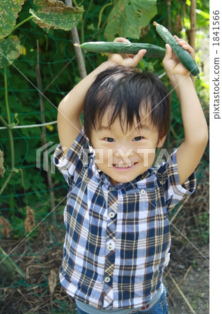 人 人物 人類 1841566