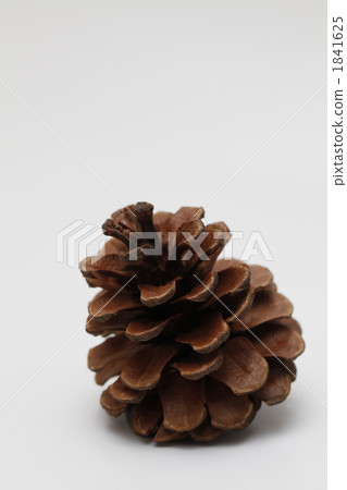 Pine cones 1 piece Pine cones 1 piece 1841625