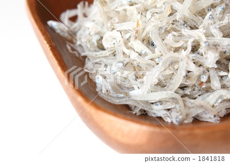 來自熊本縣的Chirimenko 來自熊本縣的Chirimenko 1841818