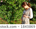 Pregnant women and green 1843869