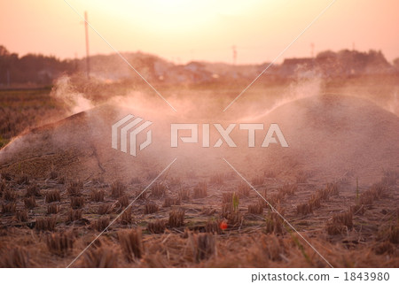 Slash-and-burn field paddy evening fall autumn reaping 1843980