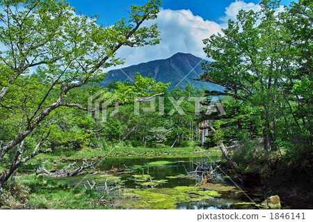 Matsuyama Yukawa Senjogahara,初夏 Matsuyama Yukawa Senjogahara,初夏 1846141