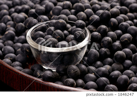 Tanba's black soybean (Tamba Black) Tanba's black soybean (Tamba Black) 1846247