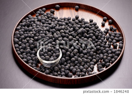 Tanba's black soybean (Tamba Black) 1846248
