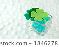 four-leaf clover, green leaf, glass dish 1846278