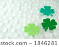clover, four leaves, green leaf 1846281