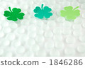 sunshiny, vibrant, four-leaf clover 1846286