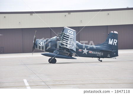 海軍 海軍 1847118