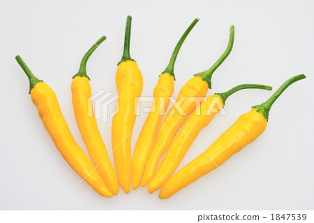 Yellow pepper 1847539