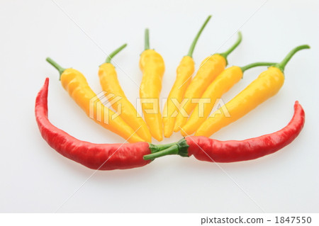 Yellow Capsule and Red Nanban 1847550