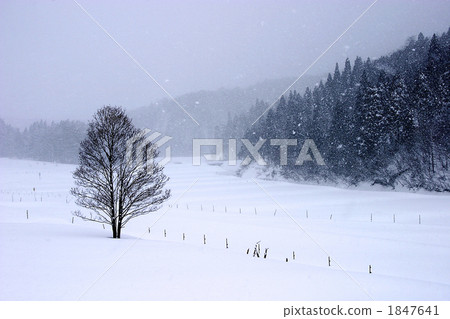 Snow scene of Niihara Village Snow scene of Niihara Village 1847641