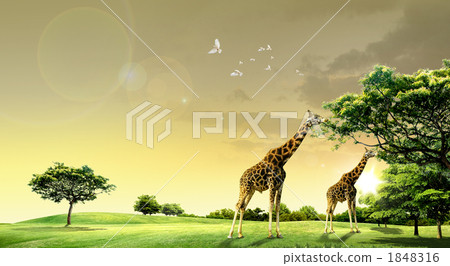 Natsunohara _k _ 483258 Natsunohara _k _ 483258 1848316