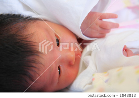 出生後第5天新生兒 出生後第5天新生兒 1848818