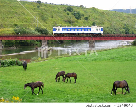 Hokkaido Line and Thoroughbred Hokkaido Line and Thoroughbred 1849043