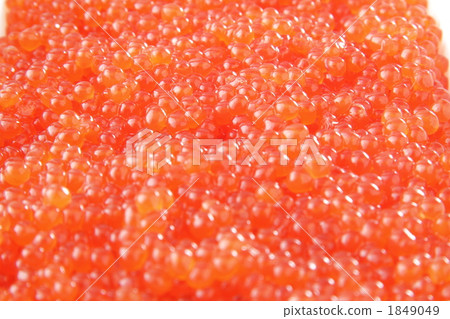 salmon roe salmon roe 1849049