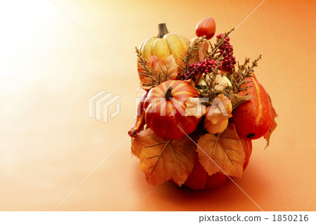 Harvest Festival 2 1850216