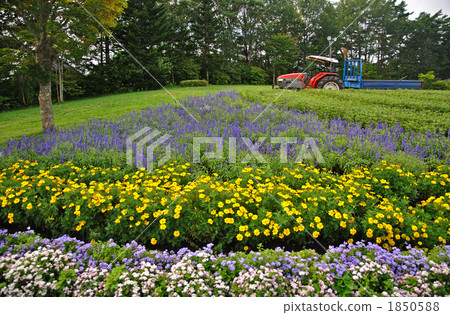 Koiwai farm walk / Makiba Park 1850588